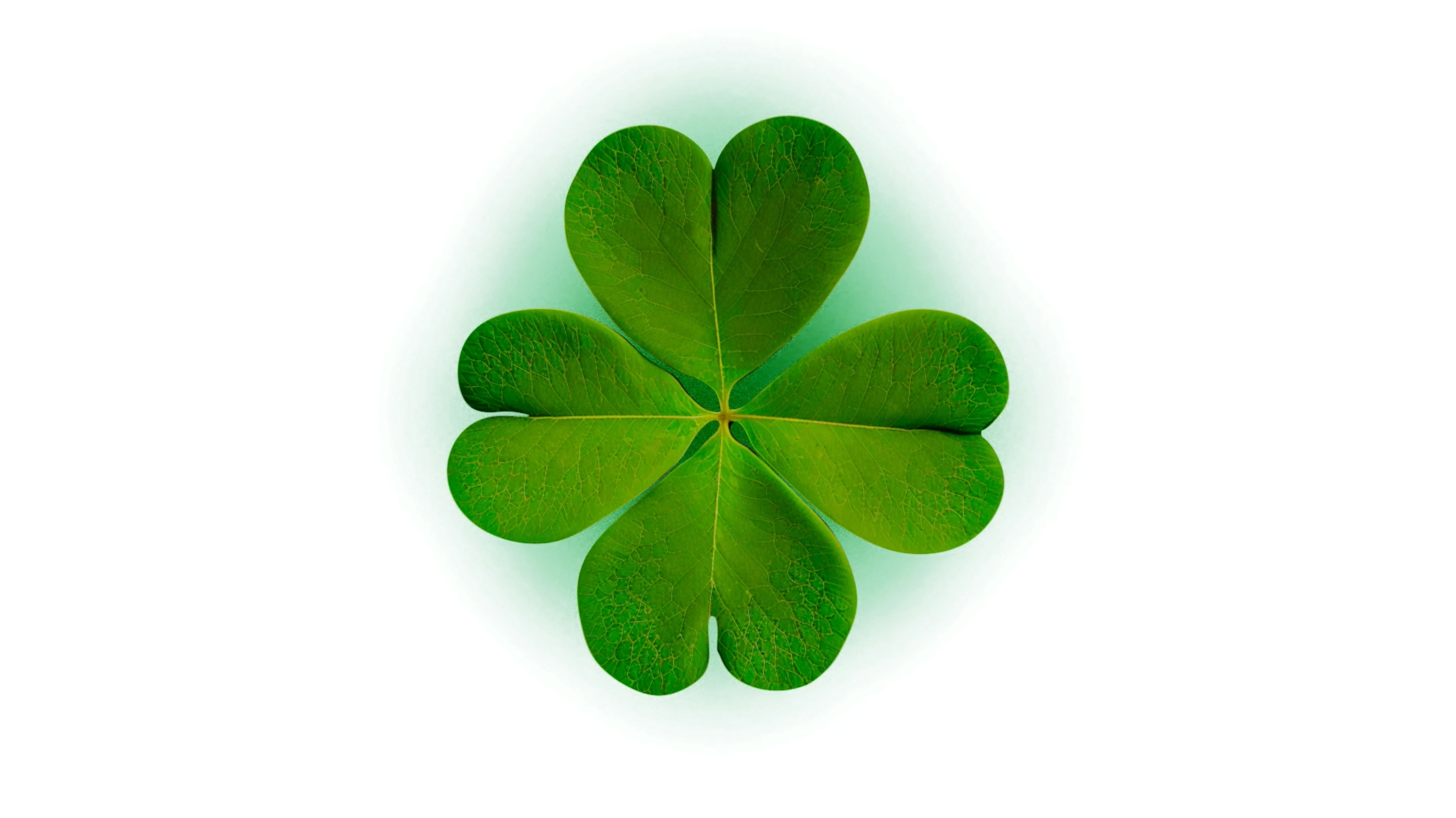 Charger la vidéo : 